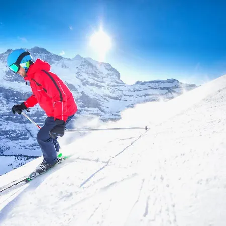 Allod Park Haus C 301 By Interhome * Davos