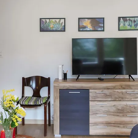 Apartament Allod Park Haus C 301 By Interhome Davos